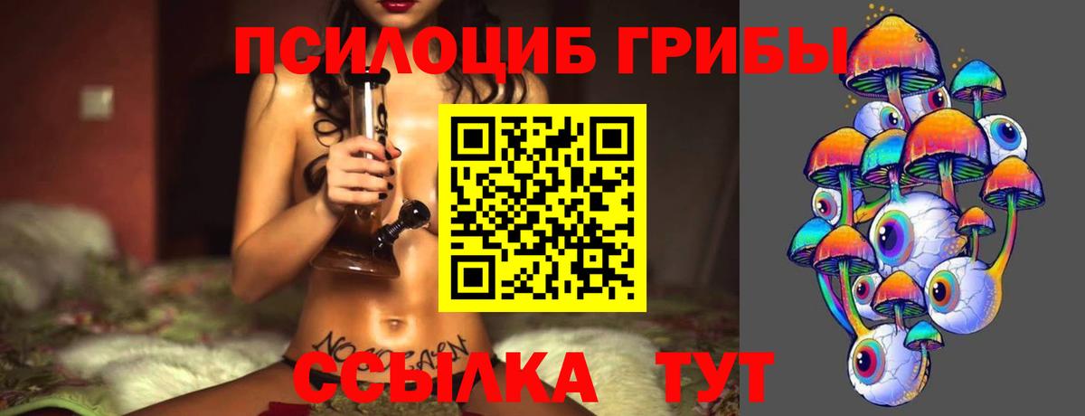 Псилоцибиновые грибы GOLDEN TEACHER  Вход с VPN  Корсаков 